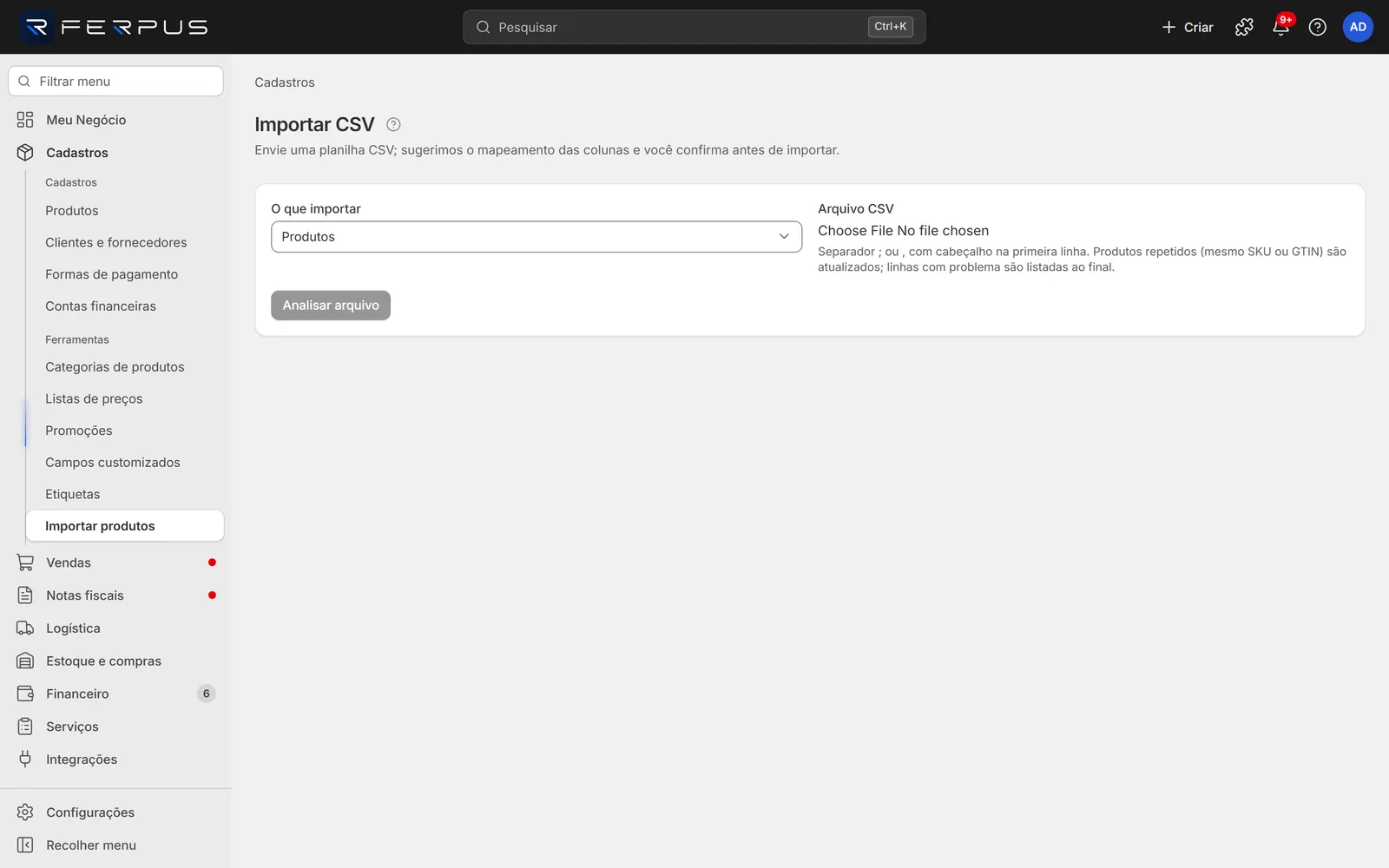 Tela Importar CSV com O que importar e Arquivo CSV